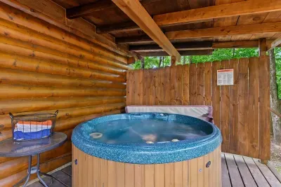 Mountain Bear Lodge - image 50 of 84