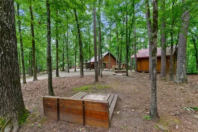 Mountain Bear Lodge - image 79 of 84