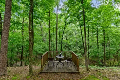 Mountain Bear Lodge - image 61 of 84