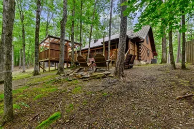 Mountain Bear Lodge - image 65 of 84