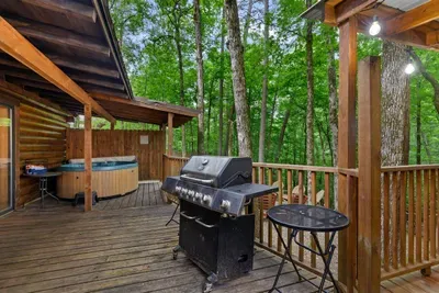 Mountain Bear Lodge - image 48 of 84