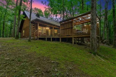 Mountain Bear Lodge - image 81 of 84