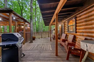 Mountain Bear Lodge - image 53 of 84