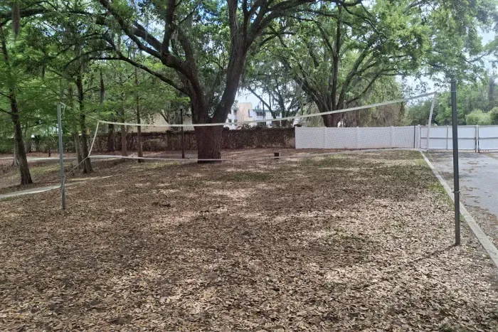 Volleyball net