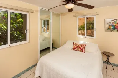 Villa Mariposa - Pedregal - image 12 of 32