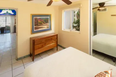 Villa Mariposa - Pedregal - image 13 of 32