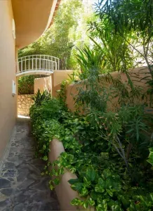 Villa Mariposa - Pedregal - image 24 of 32