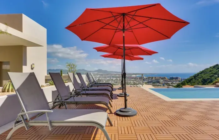 Image 11-20-24 at 6.13 PM.JPG