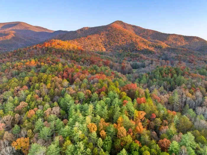 Surrounded by mountains, forest, and seasonal color — the best of North Georgia
