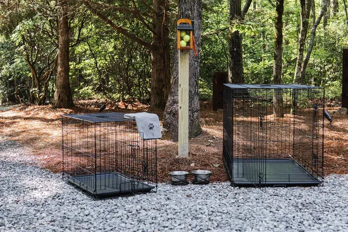 Space outside for fresh air and easy mornings with your pup.