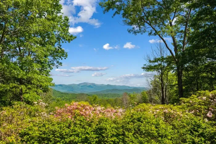 Layered Blue Ridge views framed by seasonal color — the scenery here changes beautifully throughout the year.