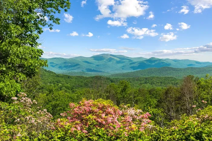 Long-range Blue Ridge views that stretch for miles — this is the backdrop to your entire stay.