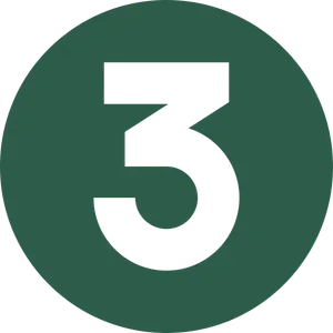 3