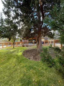 A large grassy private lawn that has a new 4' fence