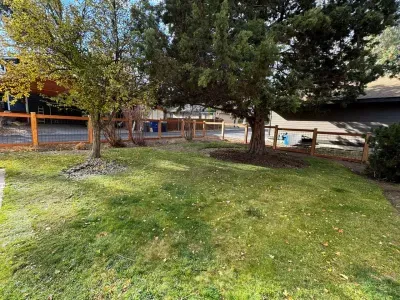 This yard backs up to a quiet alley and feels peaceful and private