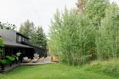 Private wooded backyard with deck seating and peaceful lawn views