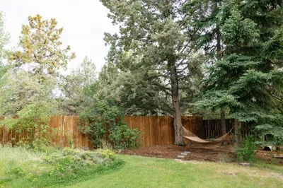Private tree-lined backyard with hammock and peaceful lawn space