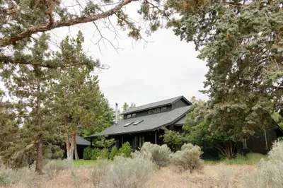 Secluded forest cabin with striking architecture and peaceful wooded views