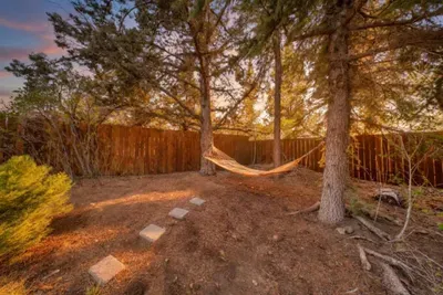 Hammock during golden hour
