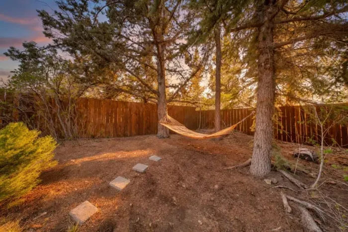 Hammock during golden hour