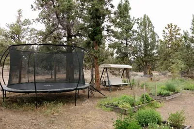 Peaceful wooded yard with trampoline, swing bench, and garden beds