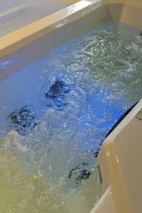 Relax in a sleek spa tub with bubbling jets and calming blue light