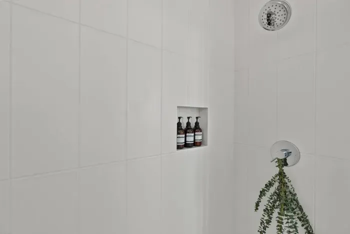 Luxurious and spacious full bathroom with walk in shower, toilet, sink, mirror, and laundry area. Soaps and towels provided.