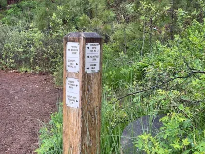 Oh! The places you'll go!