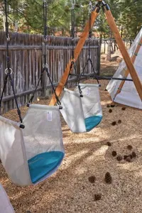 Family-friendly yard with toddler swings and a teepee camp vibe