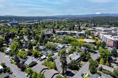 Scenic aerial view of a leafy neighborhood with mountain backdrop