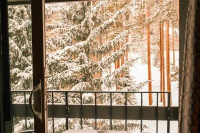 Marvel at the beautiful snowfall from the balcony near the top of the trees.