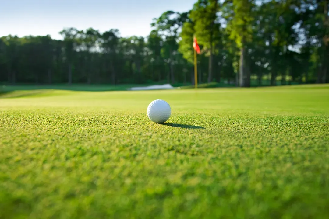 golf-ball-on-green-course-in-sunny-day-2026-09-23-03-37-09-utc