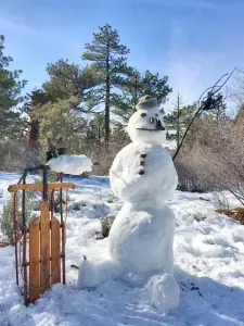 We have some great recommendations of places to sled and play in the snow.