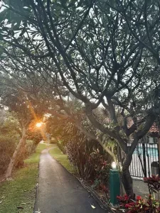 Walk this pathway and you'll head to Charley Young Beach