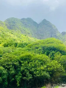 Iao Valley
