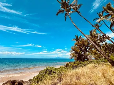 Other end of Charley Young Beach. Turtles are always here.