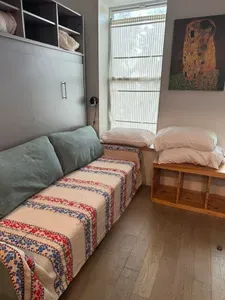 Tiny Living In Manhattan