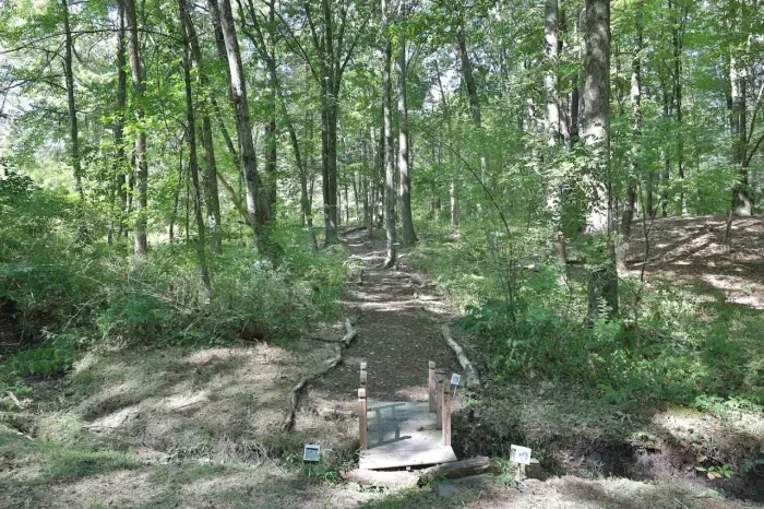 The New Paltz Moondance Ridge for 16+ - image 38 of 79