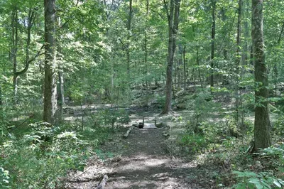 The New Paltz Moondance Ridge for 16+ - image 78 of 79