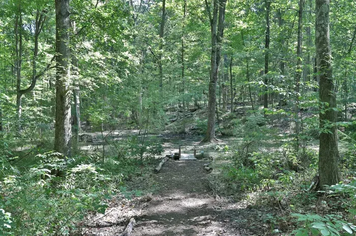 The New Paltz Moondance Ridge for 16+ - image 78 of 79