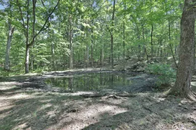 The New Paltz Moondance Ridge for 16+