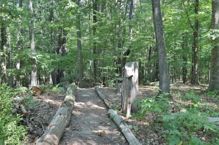 The New Paltz Moondance Ridge for 16+ - image 4 of 79