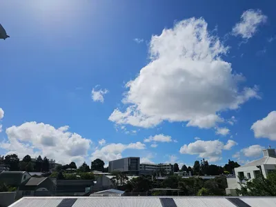 Bedroom windows offer views of the patio, neighboring garden, rambling vines, the University campus, and breathtaking raglan sunsets.