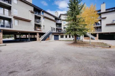 A peaceful mountain escape surrounded by tall trees and fresh alpine air.