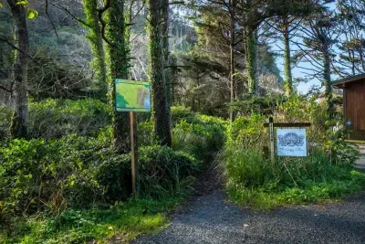 Trail to the beach!