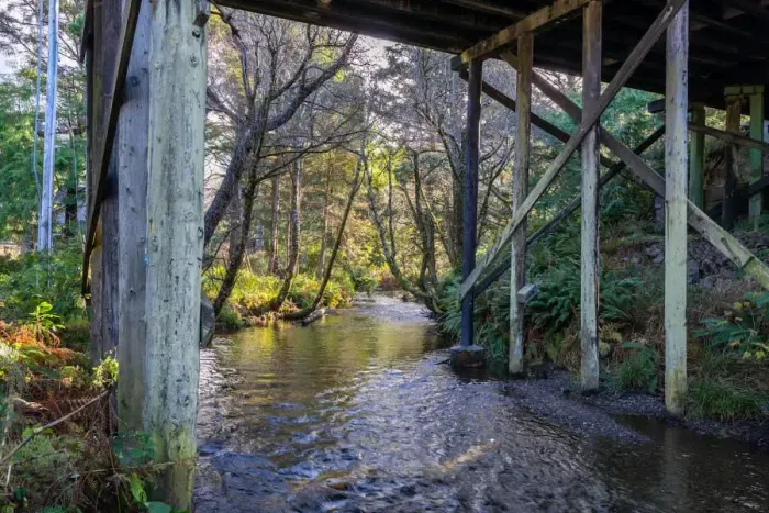 Tranquil creekside escape right around the corner from the driveway.