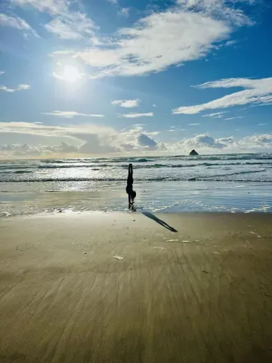 3. Stunning coastal getaway! Steps from the beach! This crming home (marked with a red arrow) is nestled among the trees and breathtaking ocean views. Enjoy peaceful surroundings, easy beach access, and the beauty of nature ri