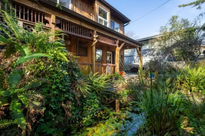 Vibrant backyard with a colorful mix of plants and flowers, creating a bright and cheerful atmosphere.