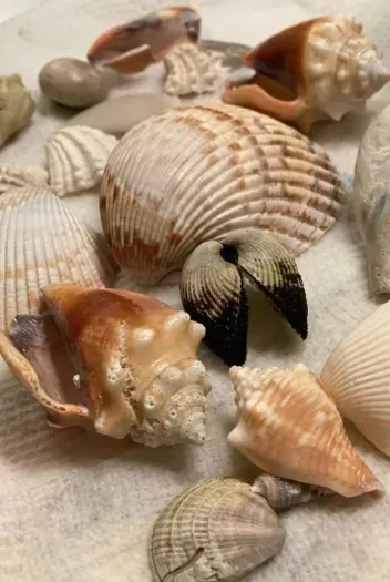 Fun things all around!