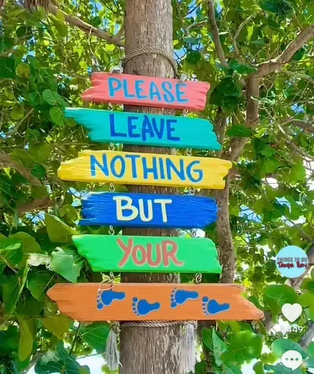 Fun things all around!